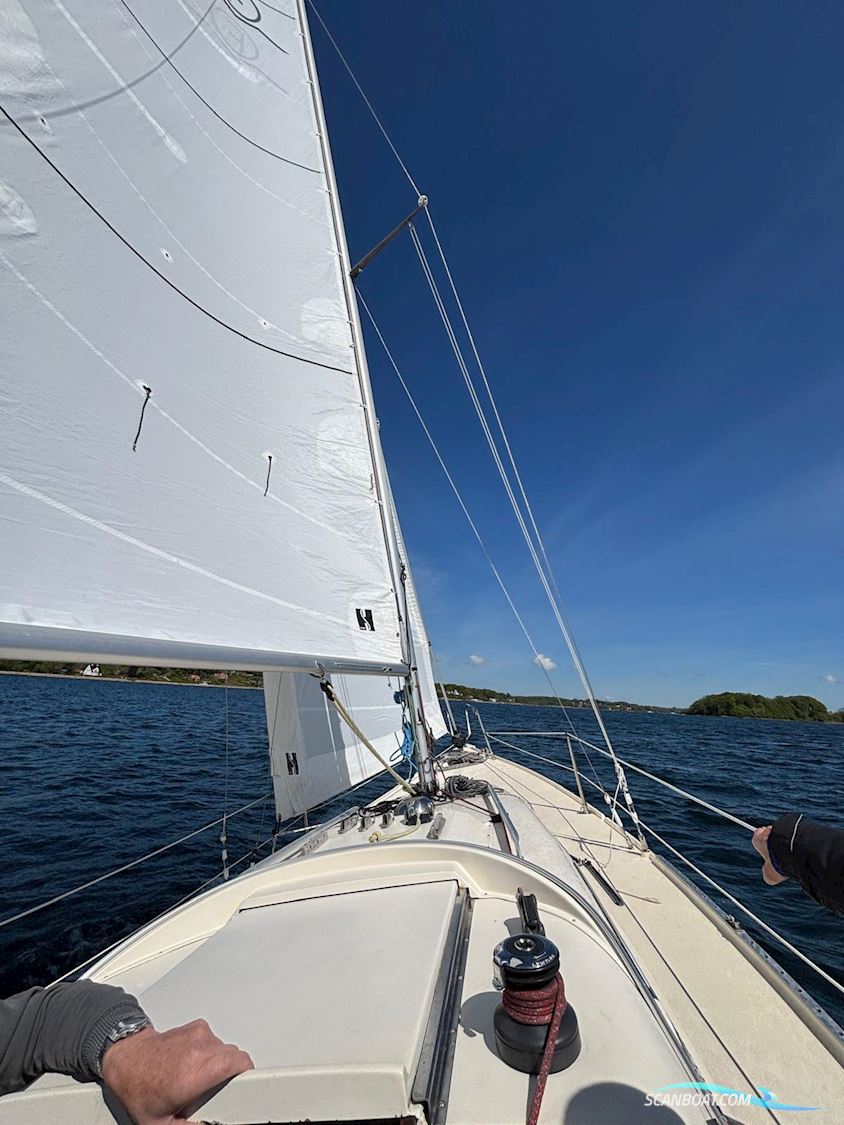 Internationales Folkeboot