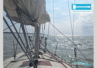 Jeanneau Aquila Segelboot 2024, mit Sole Mini motor, Belgien
