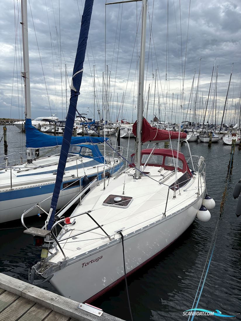 Jeanneau Arcadia Segelboot 1985, mit Yanmar motor, Dänemark