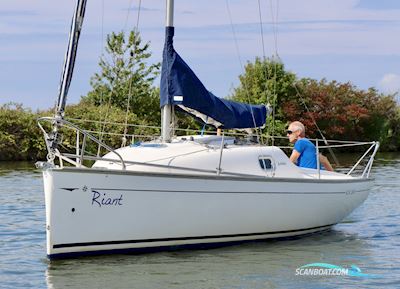 Jeanneau Sun 2000 Segelboot 2005, mit In 2025 groot onderhoud gehad. Factuur aanwezig. motor, Niederlande