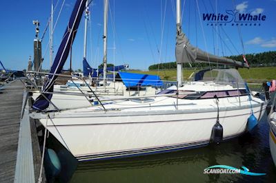 Jeanneau Sun Dream 28 Segelboot 1990, mit Yanmar motor, Niederlande