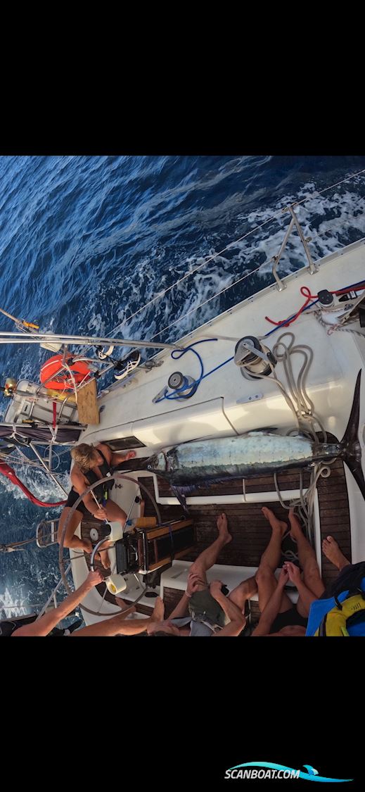 Jeanneau Sun Magic 44