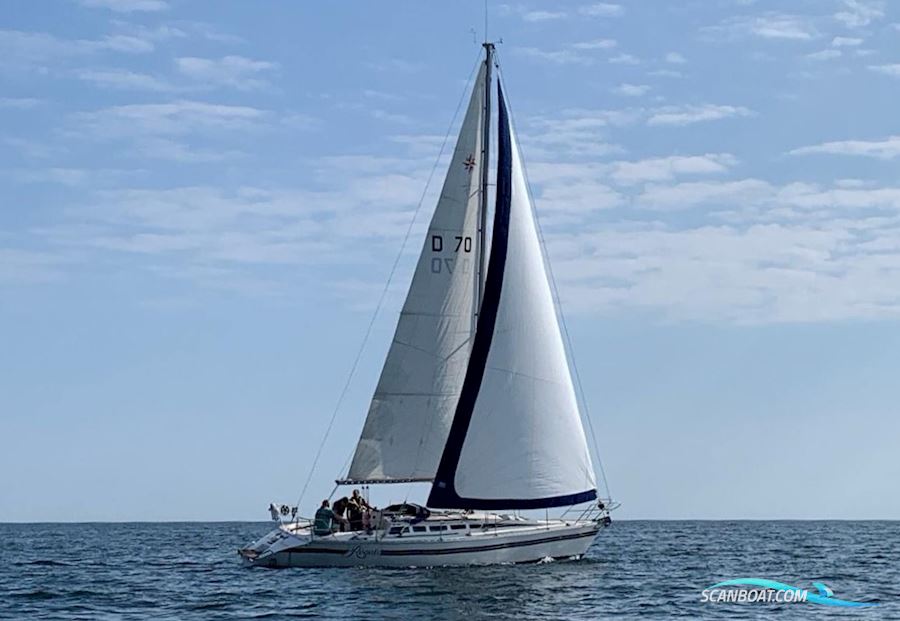 Jeanneau Sun Shine Régate 39 Segelboot 1983, mit Yanmar motor, Dänemark