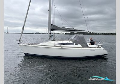 Jeanneau Sun Way 29 Segelboot 1994, Niederlande