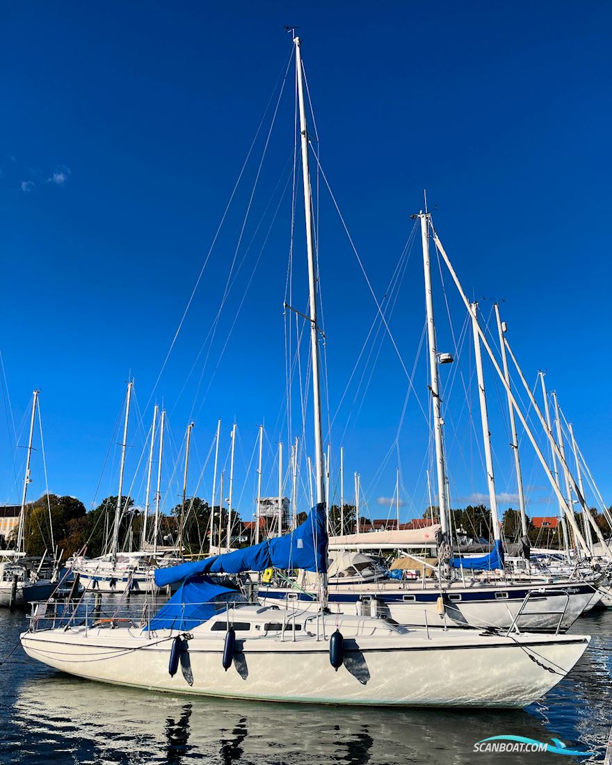 Joemarin 36/Sveakryssare Segelboot 1974, mit Yanmar 1 GM motor, Dänemark