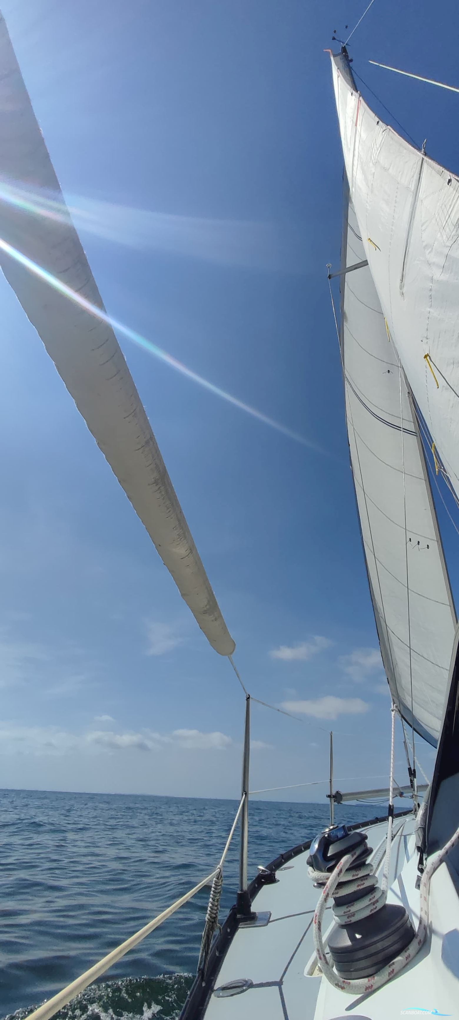 Kalik/Lewin Kalik 30