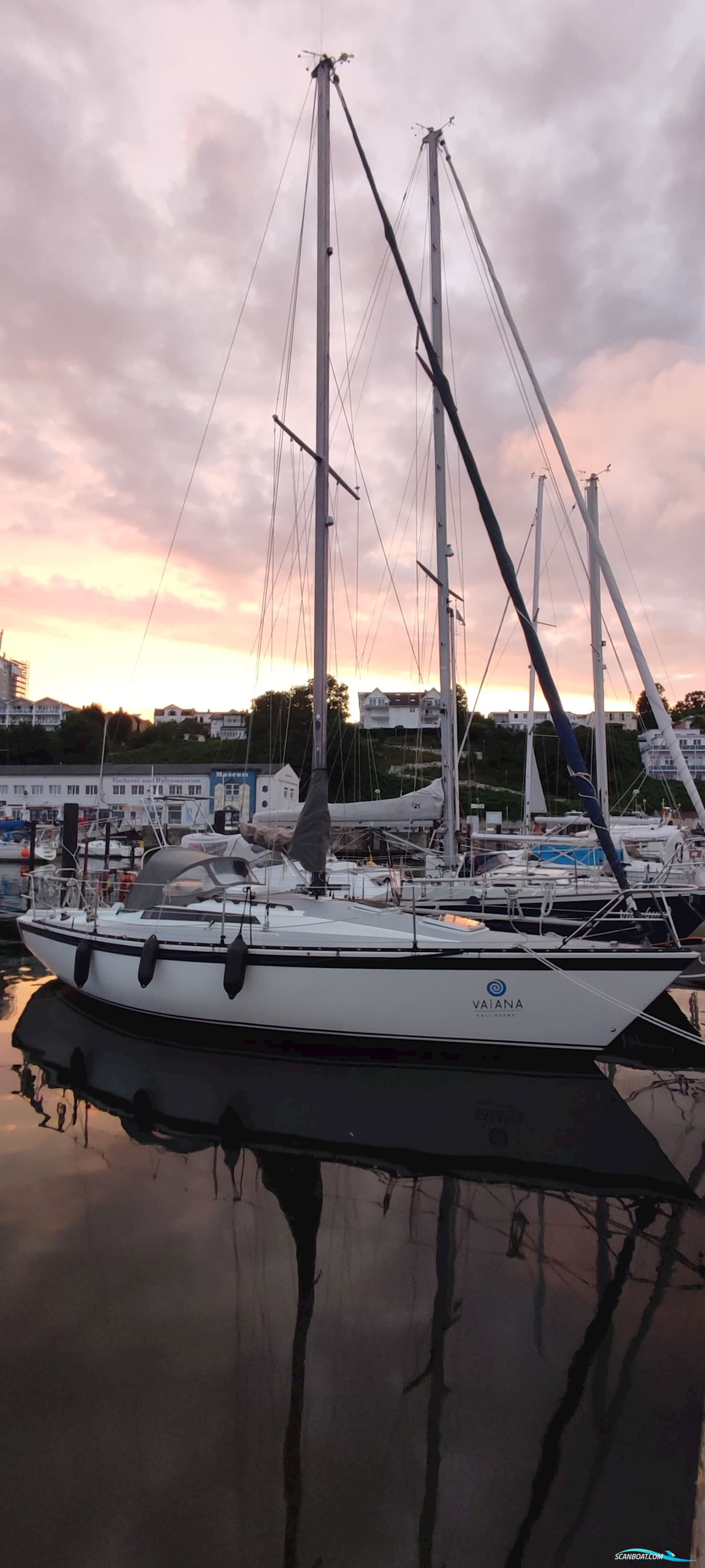 Kalik/Lewin Kalik 30