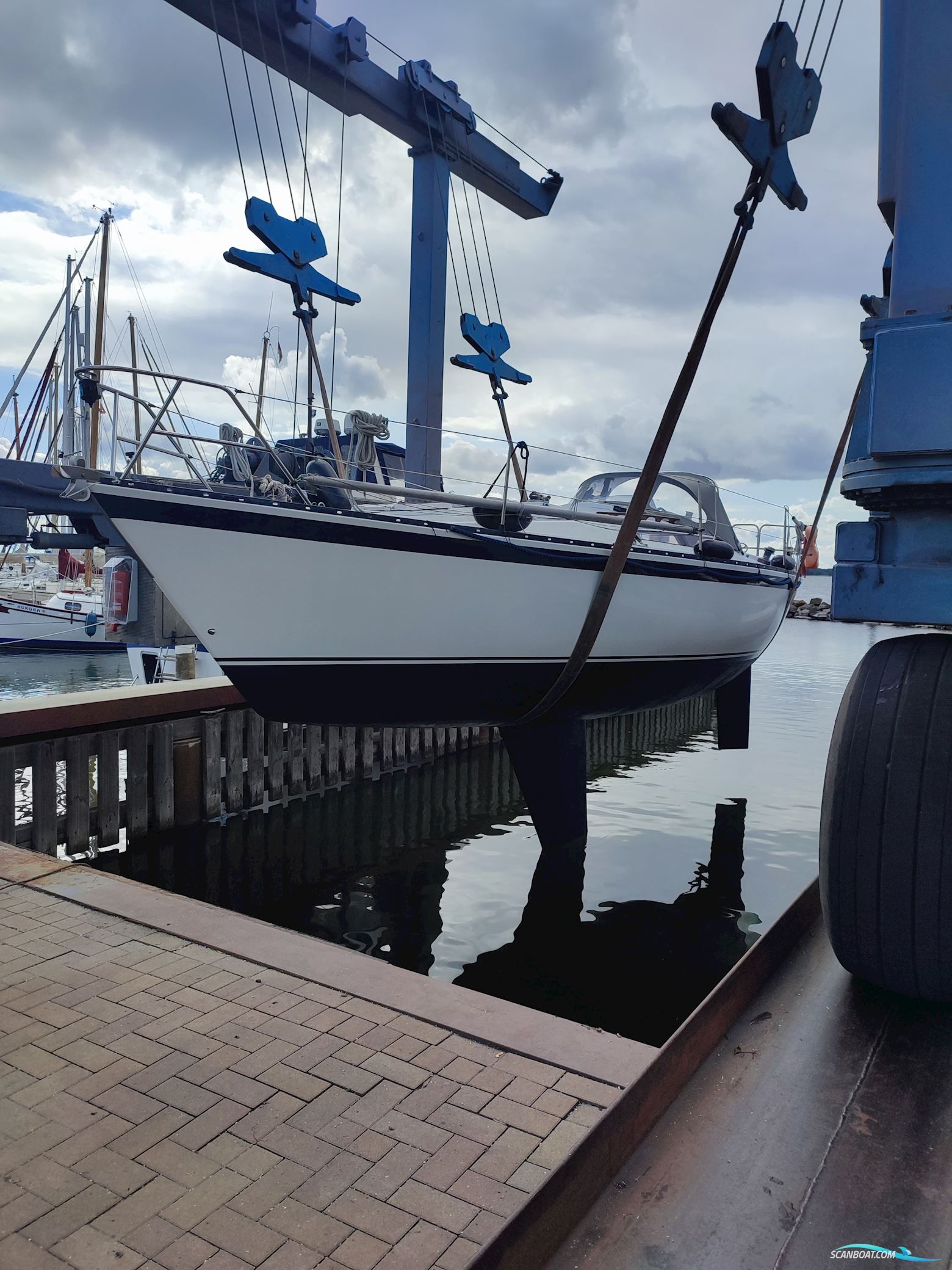 Kalik/Lewin Kalik 30