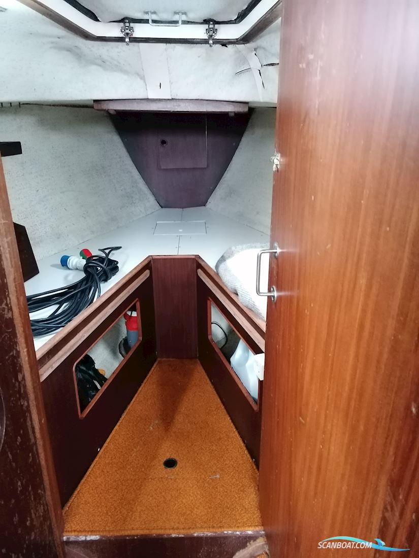 Kings Cruiser 29 Bud Ønskes