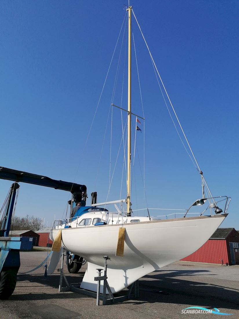 Kings Cruiser 29 Bud Ønskes