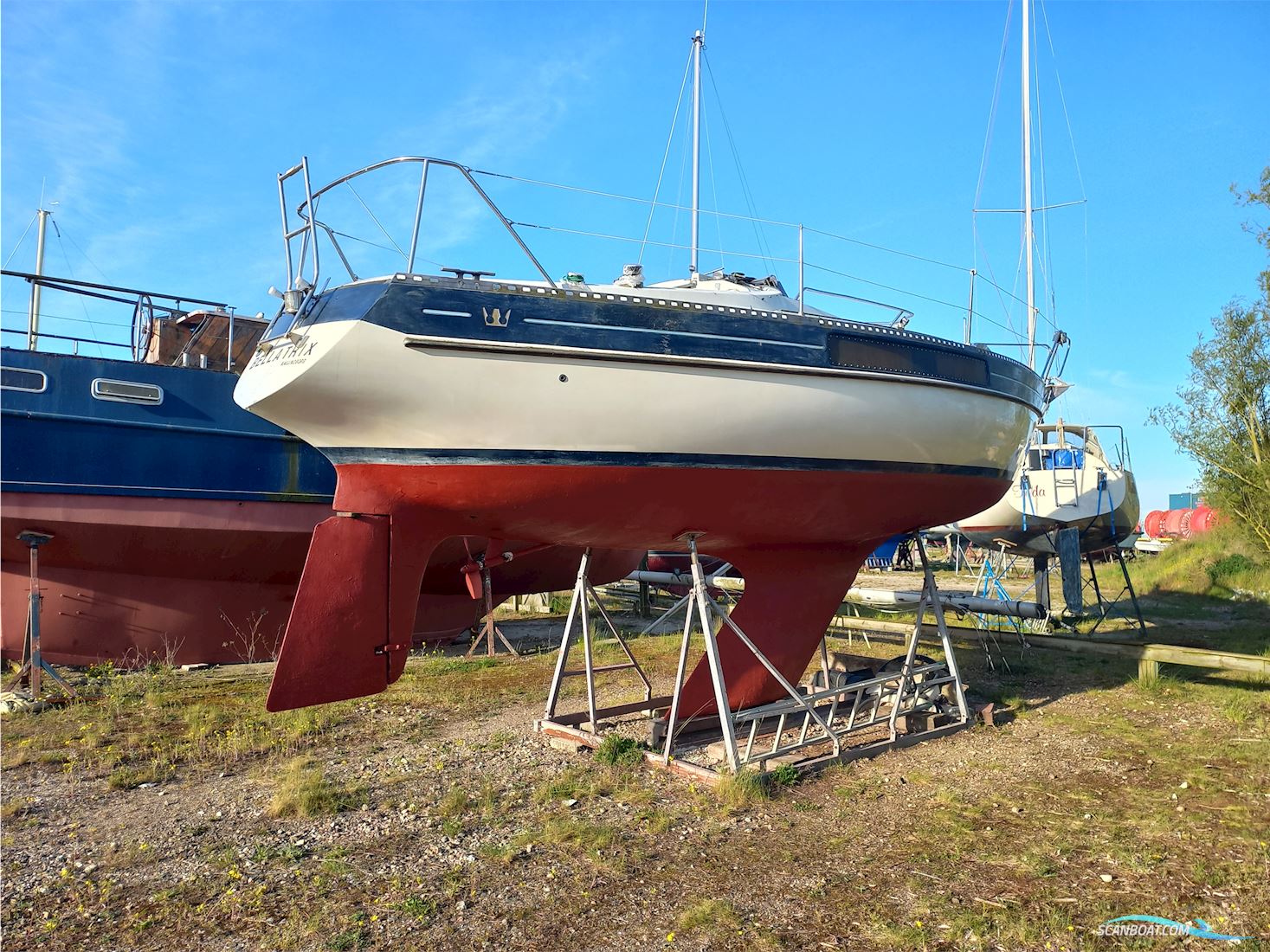 Kings Cruiser 33