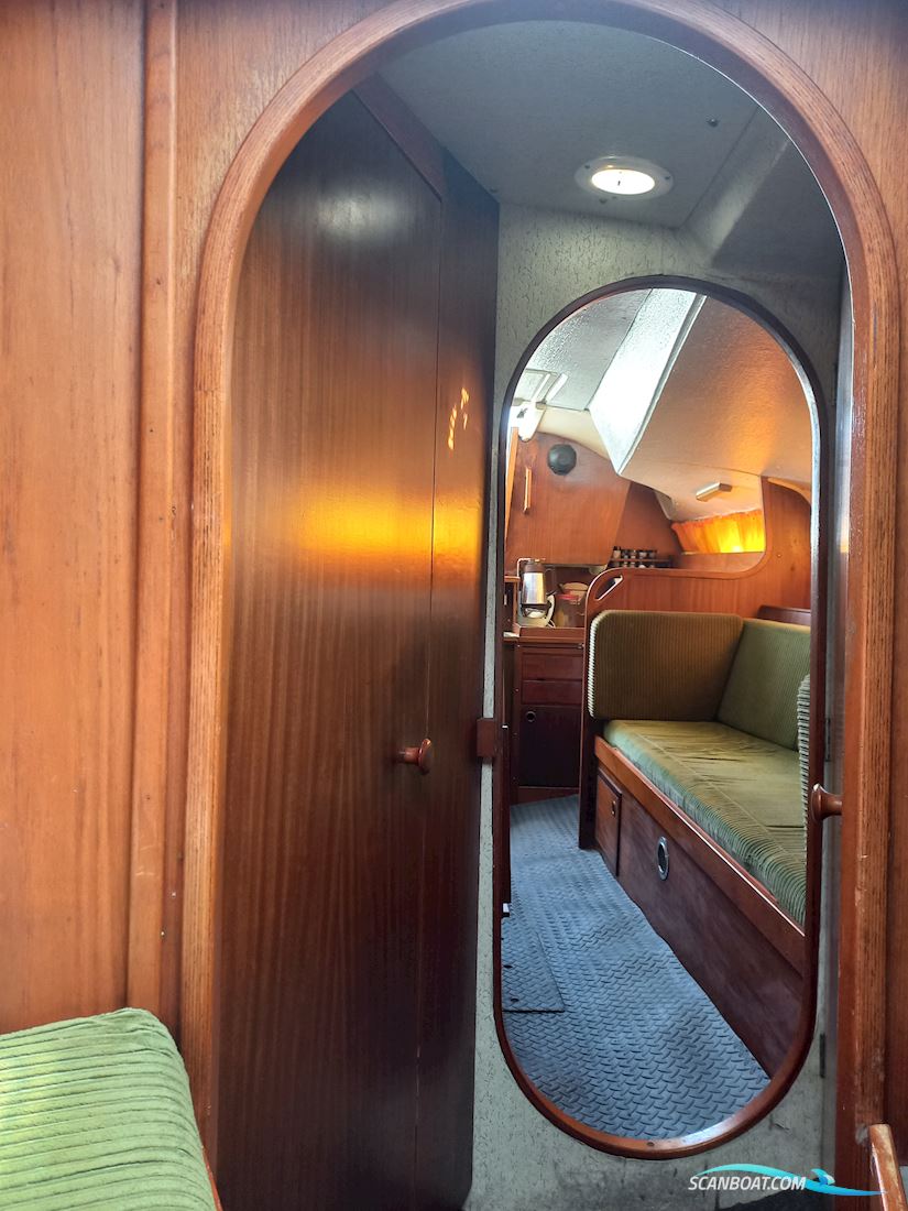 Kings Cruiser 33
