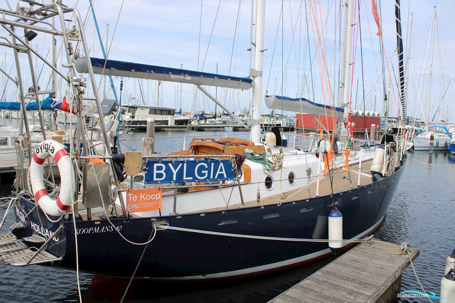 Koopmans 40