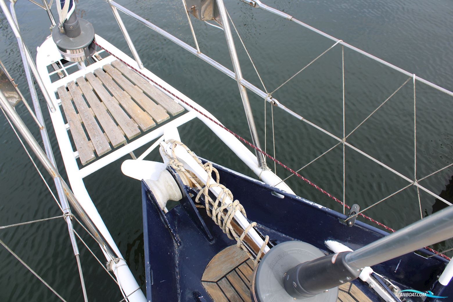 Koopmans 40