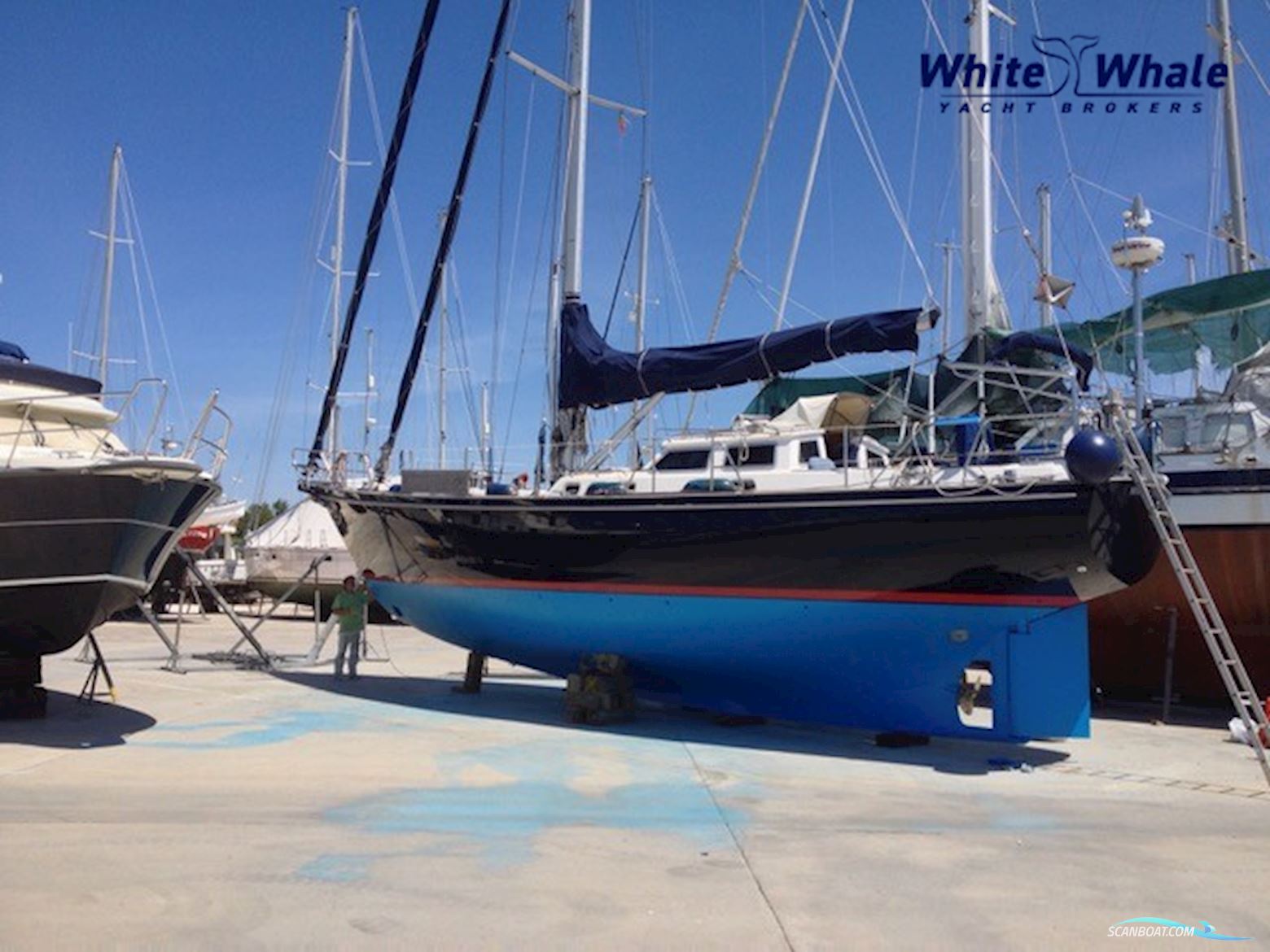 Koopmans 48