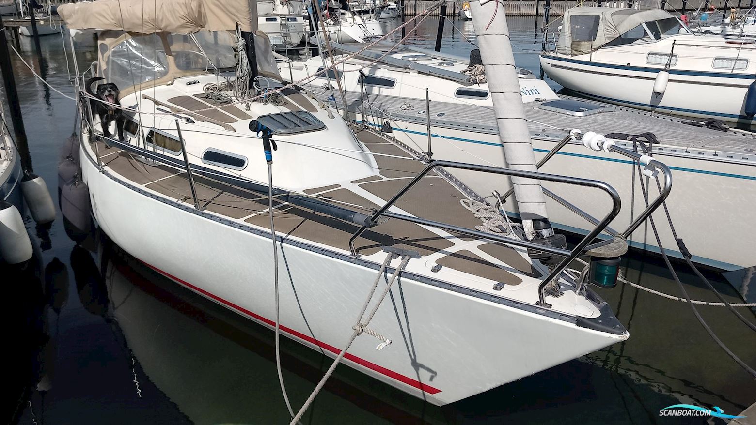 L29 Segelboot 1981, mit Volvo Penta D1 - 20hp motor, Dänemark