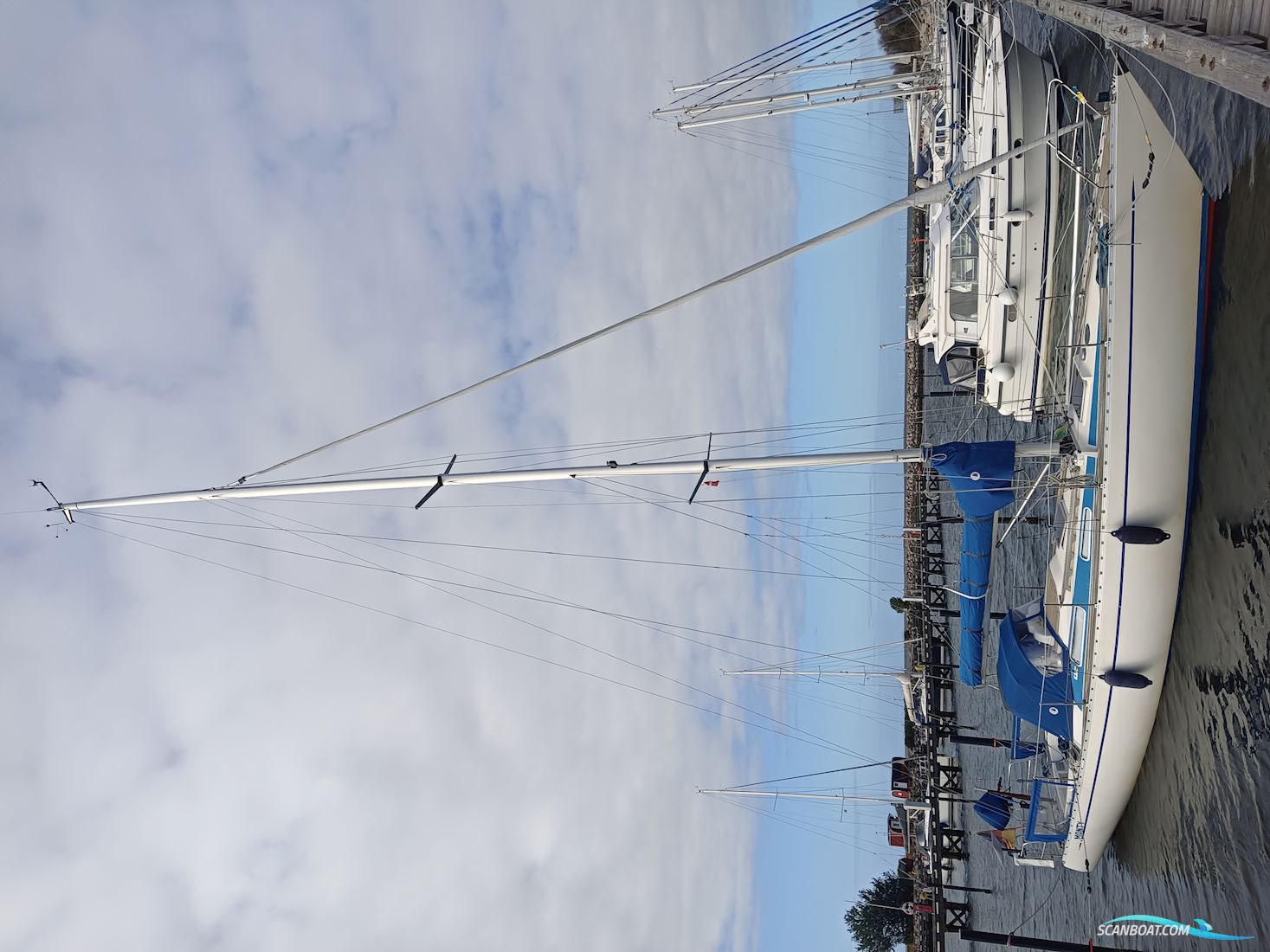 Lady Helmsman GT