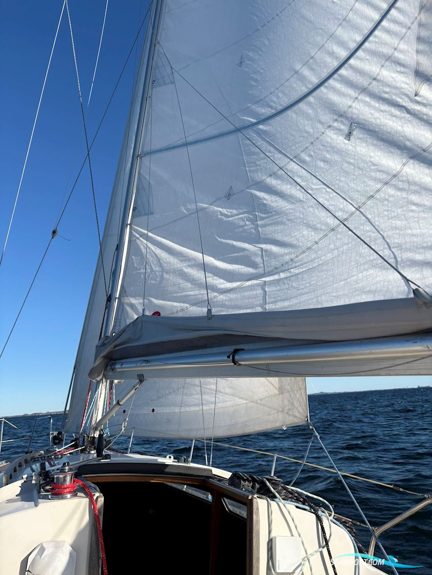 Larsen 28