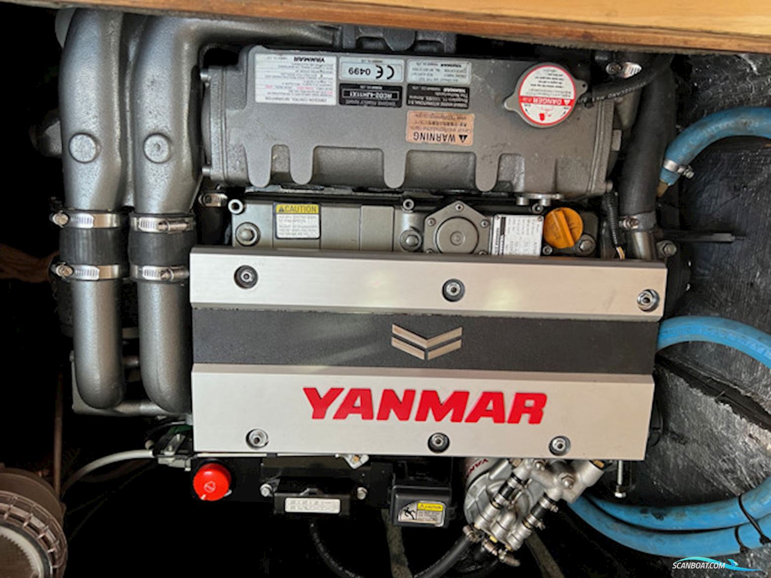 LEGUEN-HEMIDY LEVRIER DES MERS 16