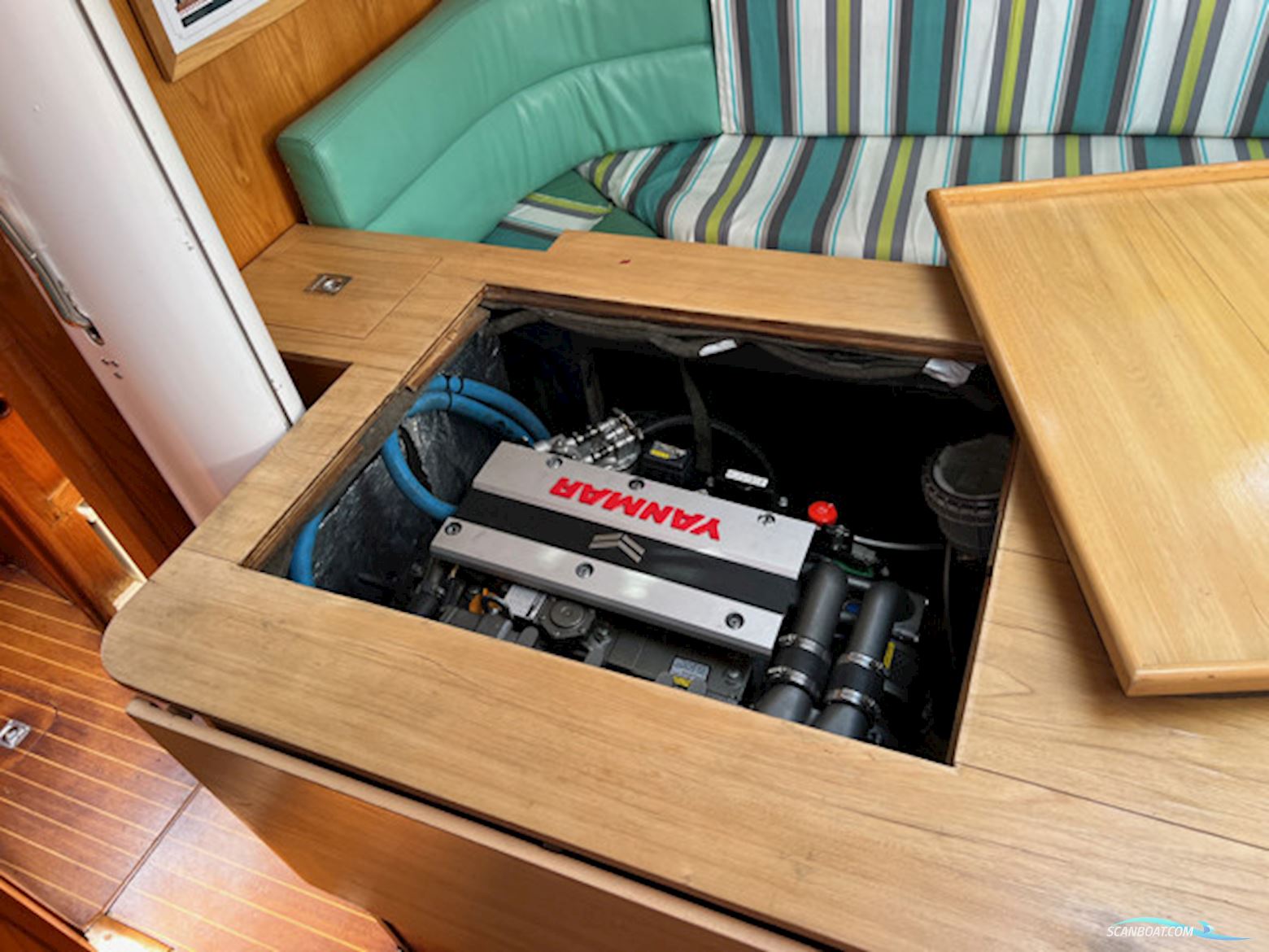 Leguen-Hemidy Levrier Des Mers 16