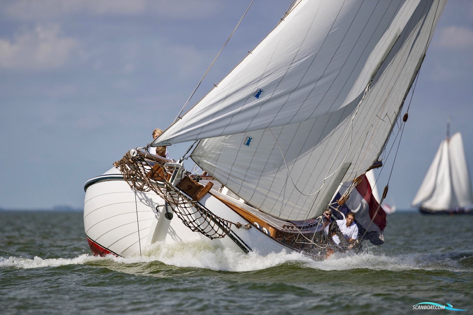 Lemsteraak Argonaut - Blom Roefaak