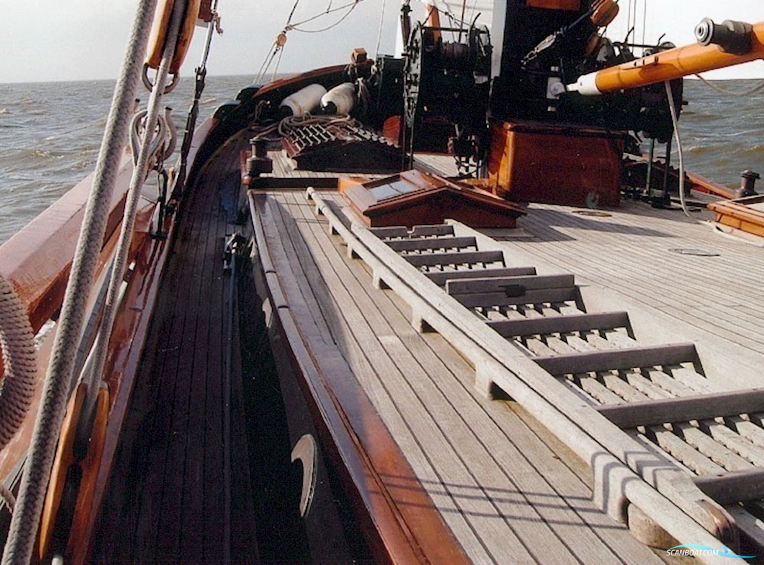 Lemsteraak Aukje Zwaantje