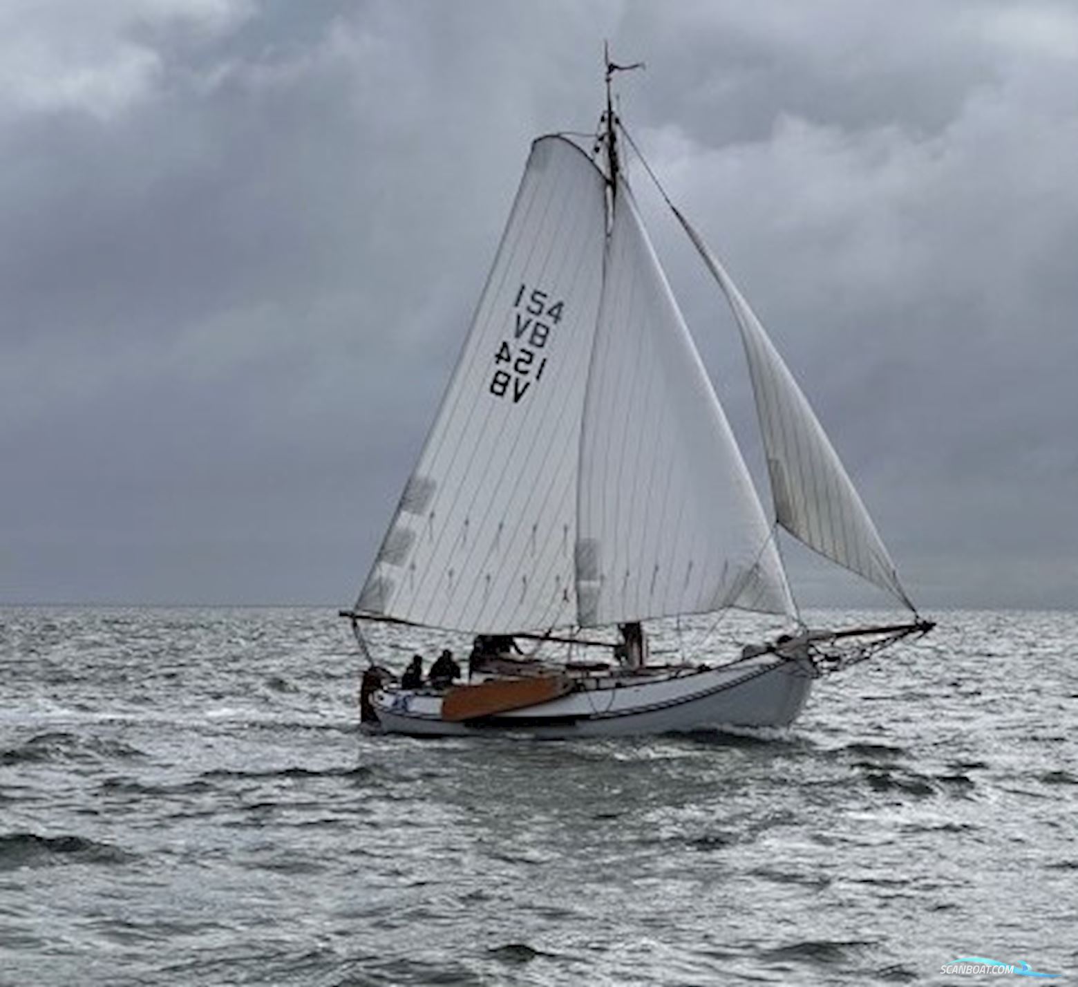 Lemsteraak Blom Roefmodel Anna