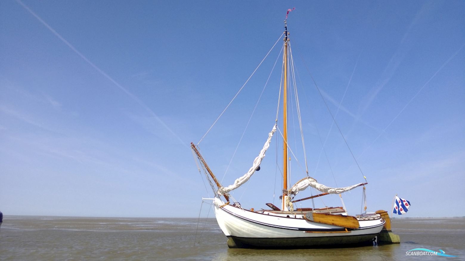 Lemsteraak Blom Roefmodel Anna