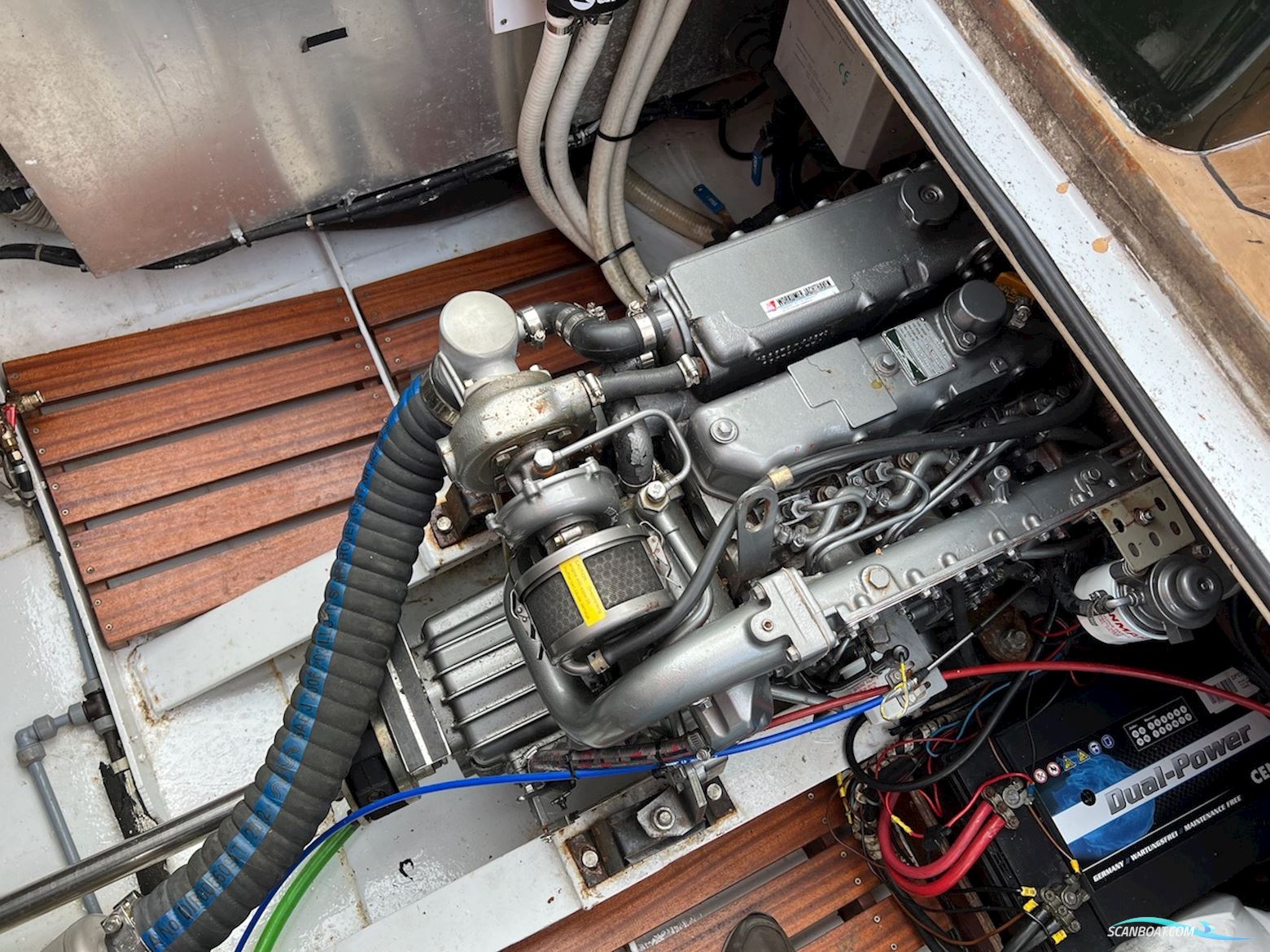 Lemsteraak Jonge Jan - Roefaak