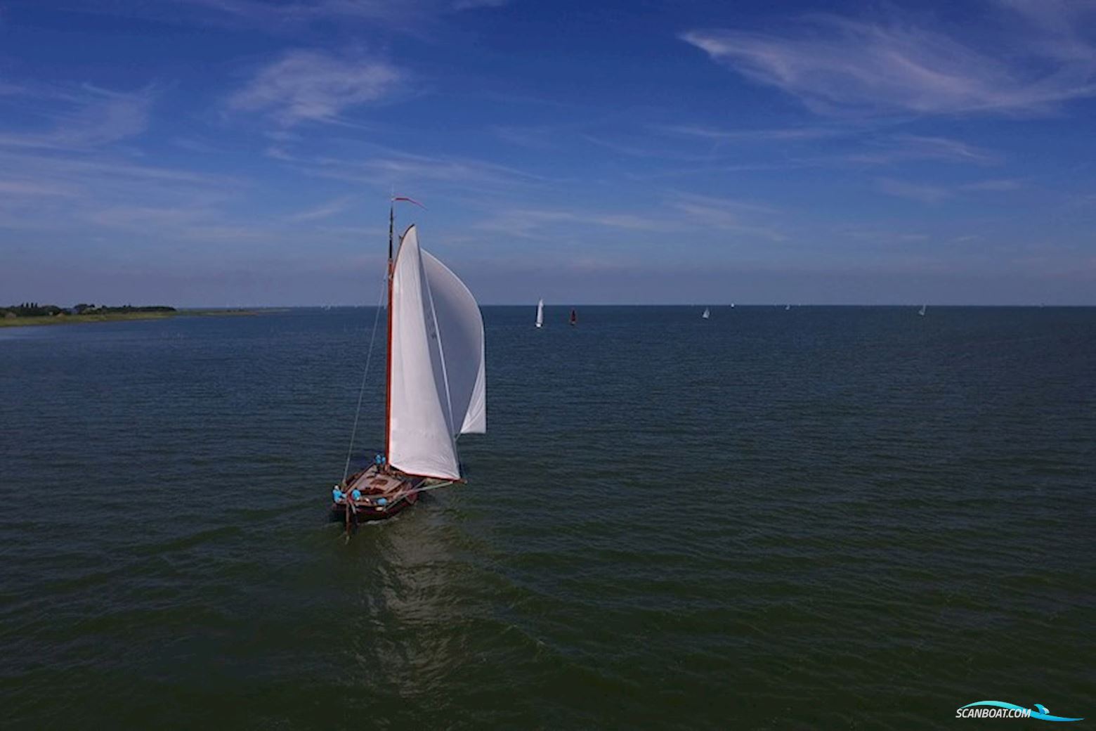 Lemsteraak Roefaak - Otter