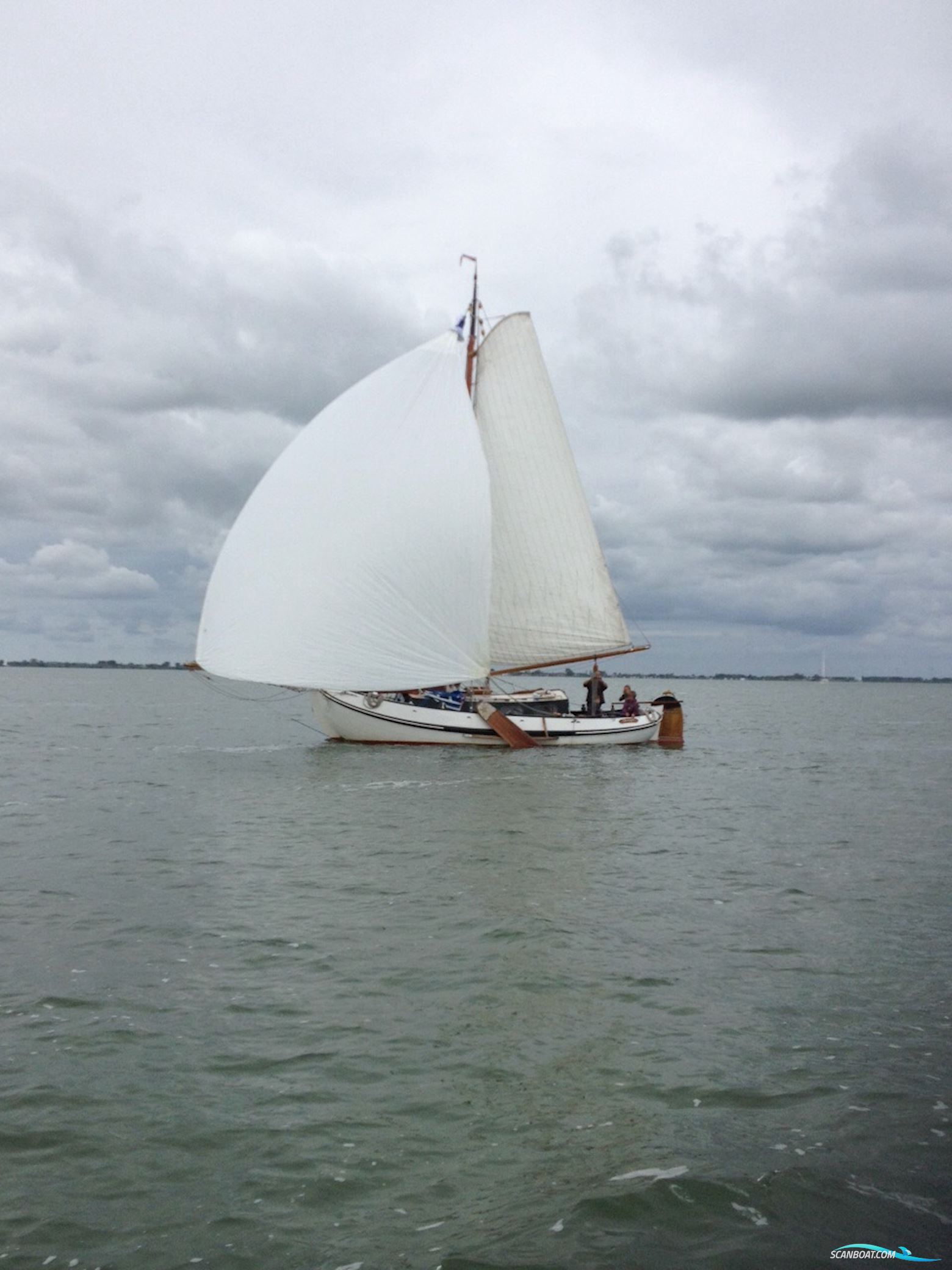 Lemsteraak Roefmodel 1010 - Dolfijn