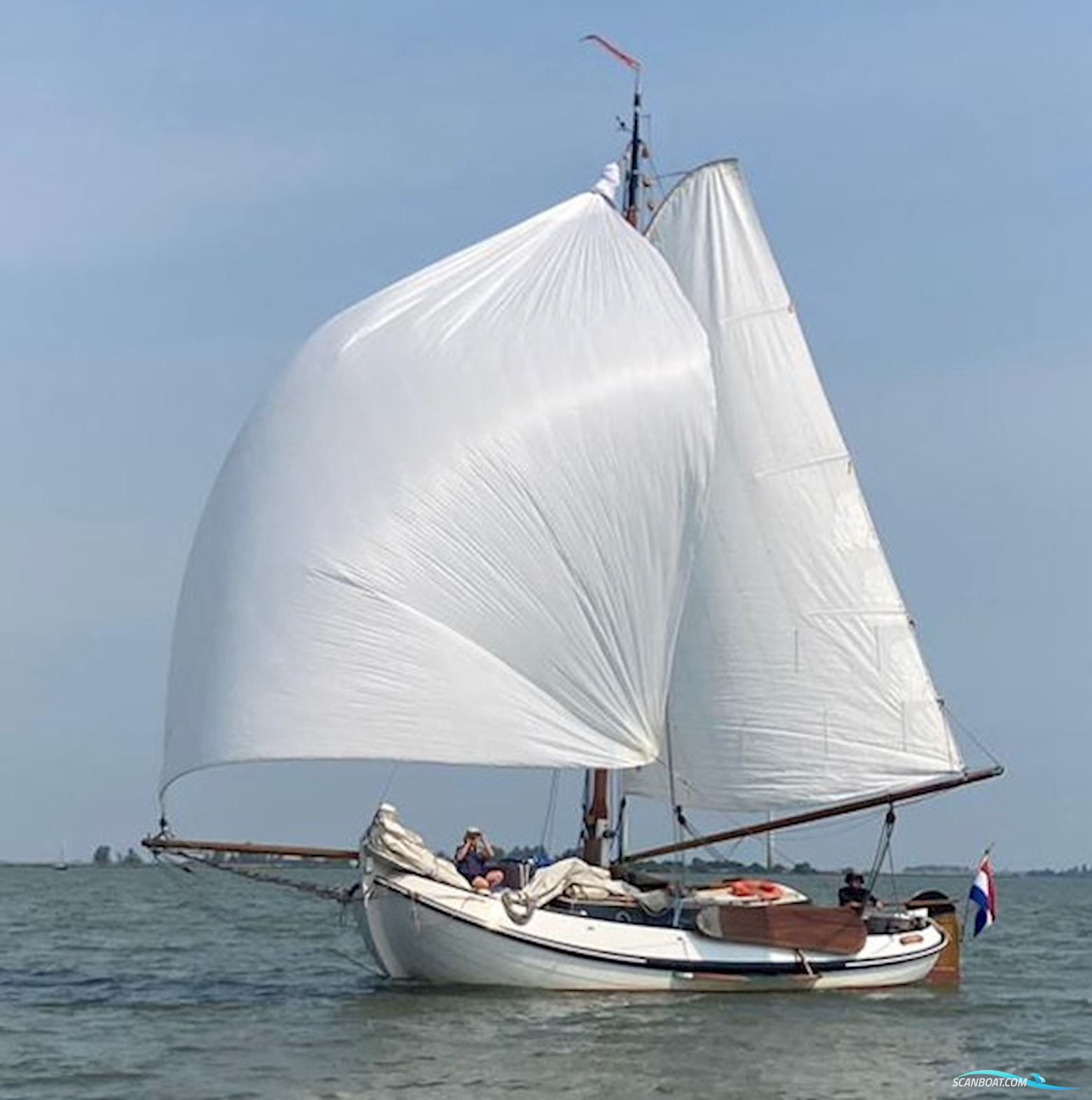 Lemsteraak Roefmodel 1010 - Dolfijn