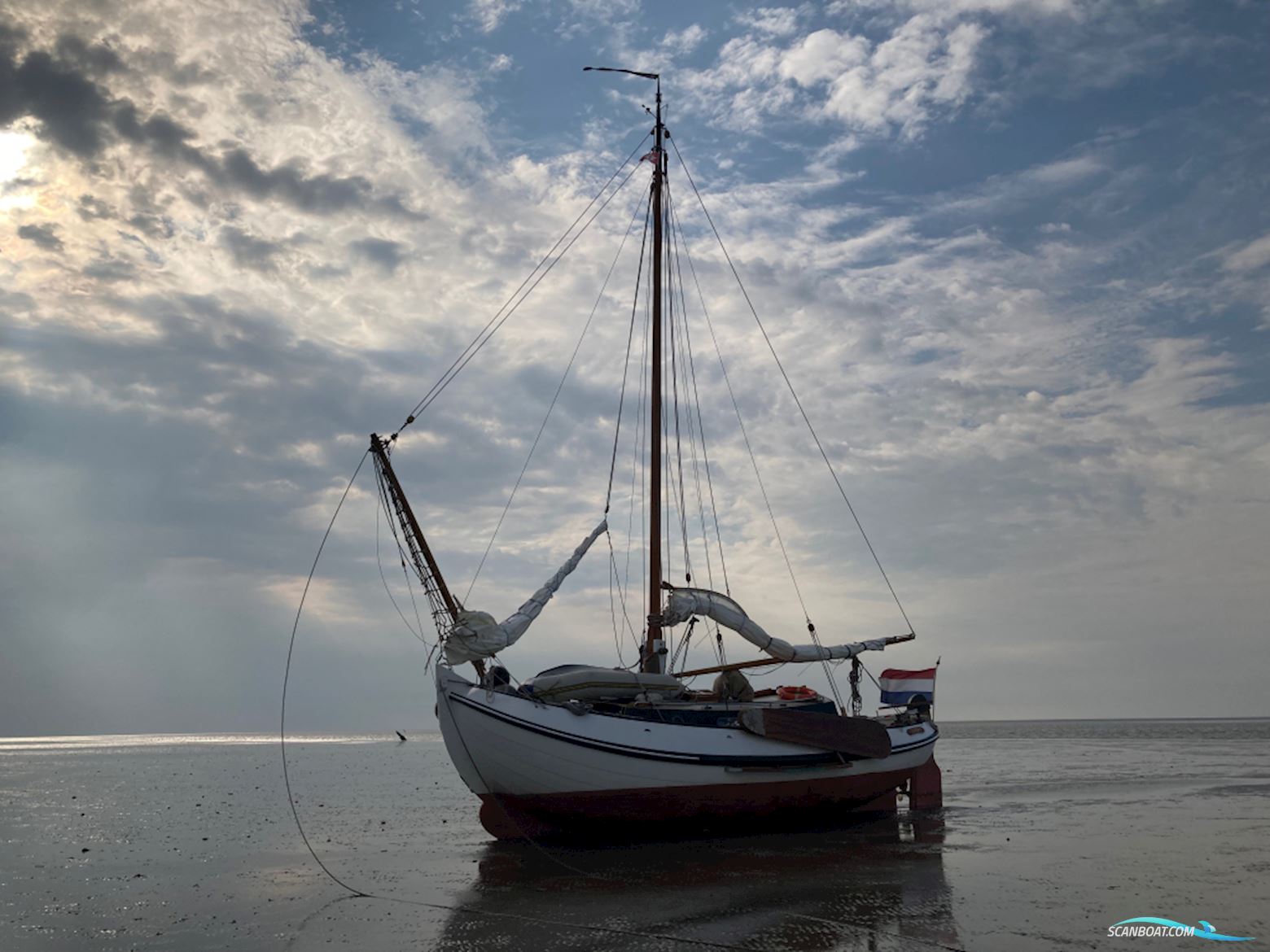 Lemsteraak Roefmodel 1010 - Dolfijn