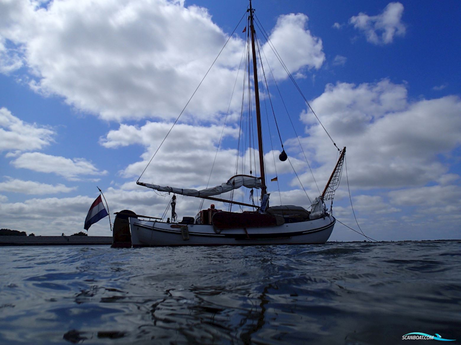 Lemsteraak Roefmodel 1010 - Dolfijn