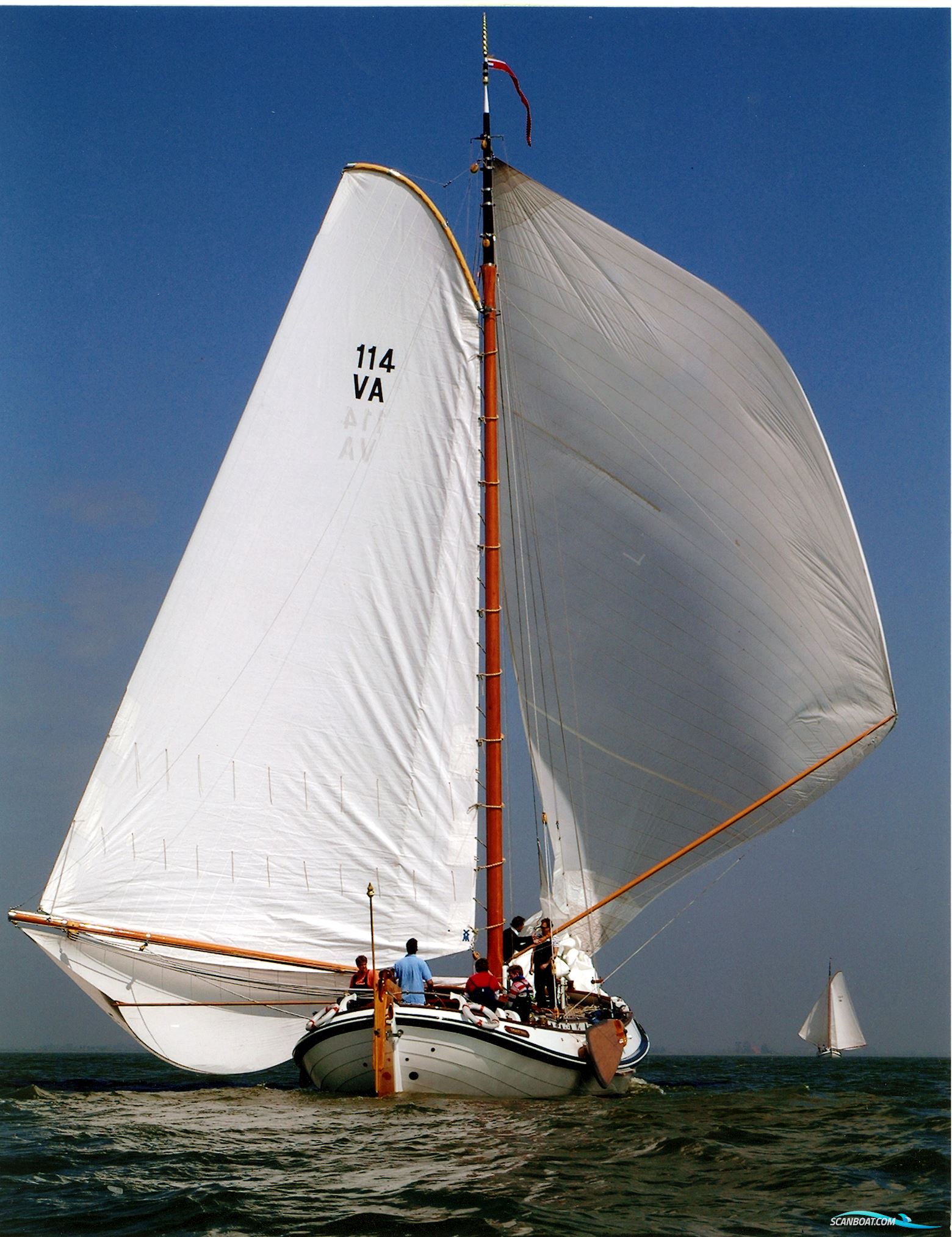 Lemsteraak Visotter - Roefuitvoering