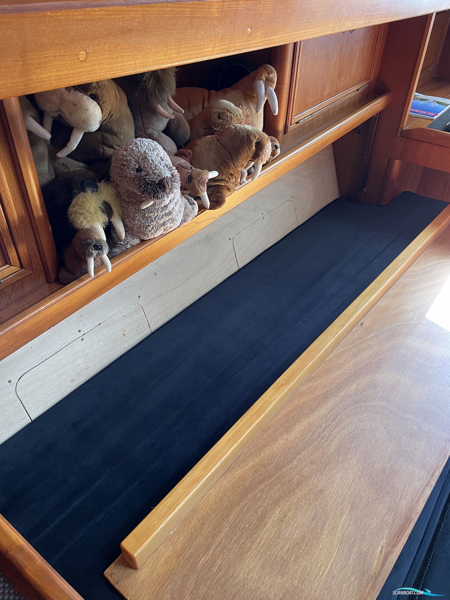 Lemsteraak Walrus - Roefuitvoering