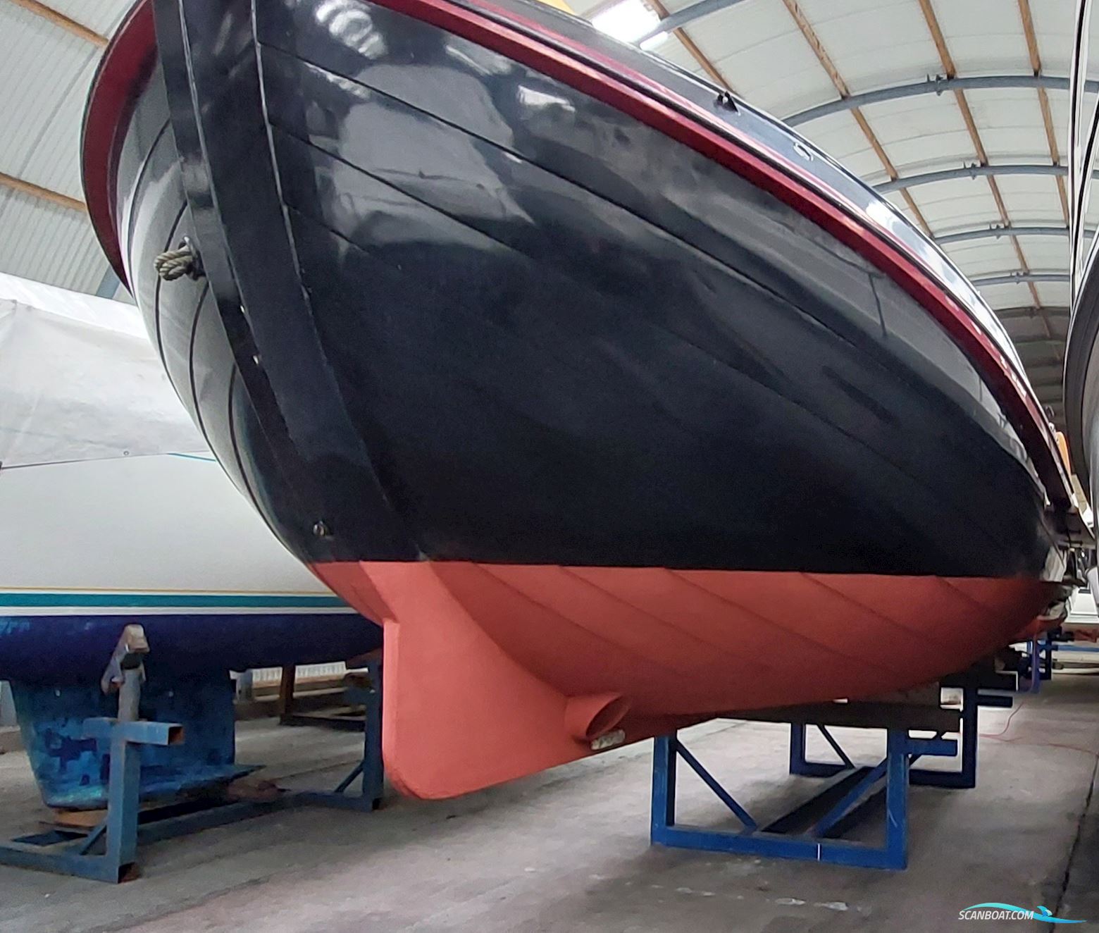 Lemsteraak Walrus - Roefuitvoering