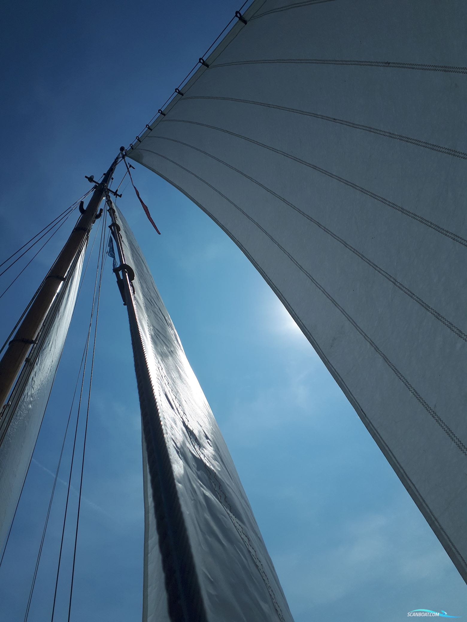 Lemsteraak Walrus - Roefuitvoering