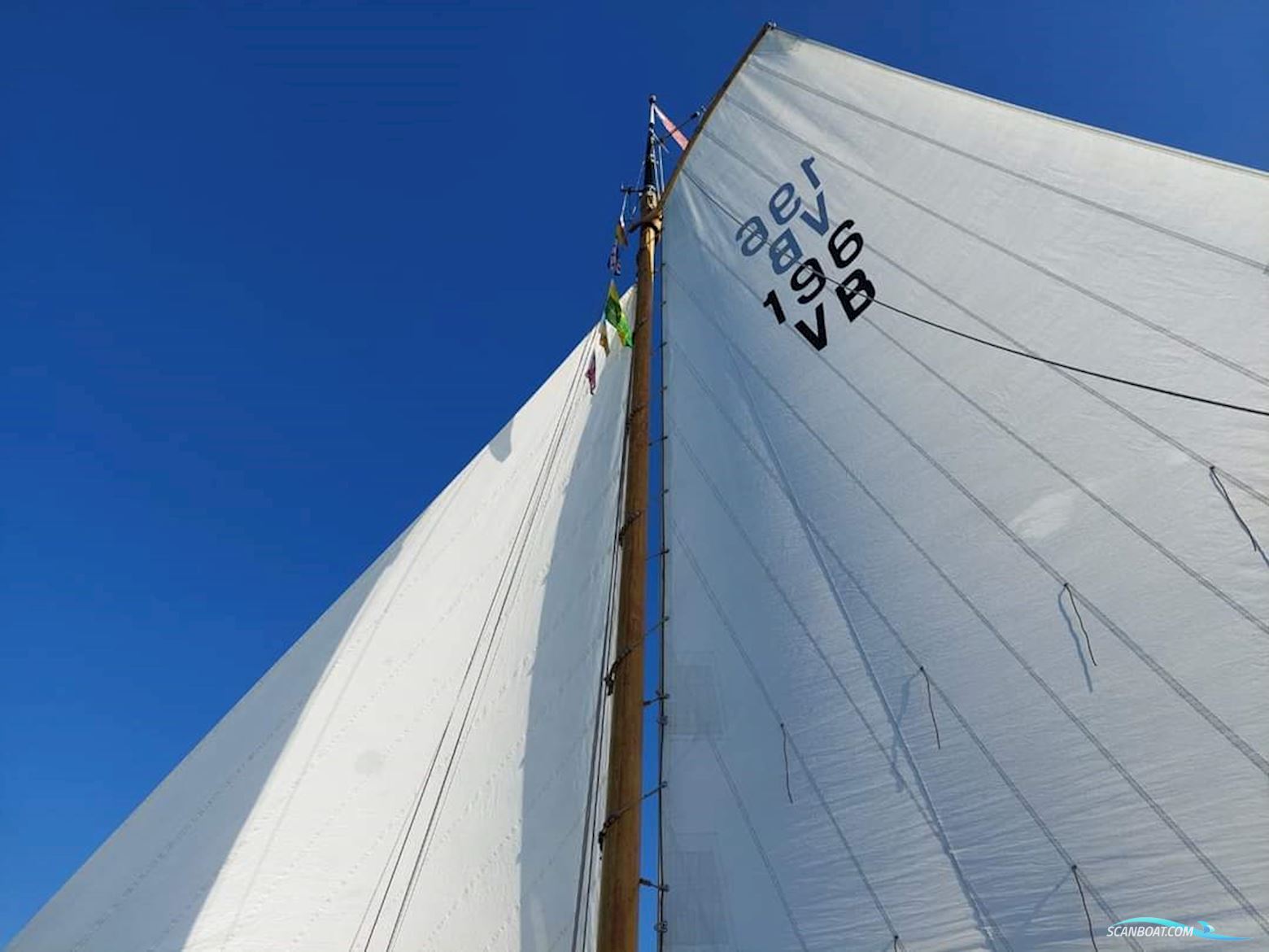 Lemsteraak Walrus - Roefuitvoering