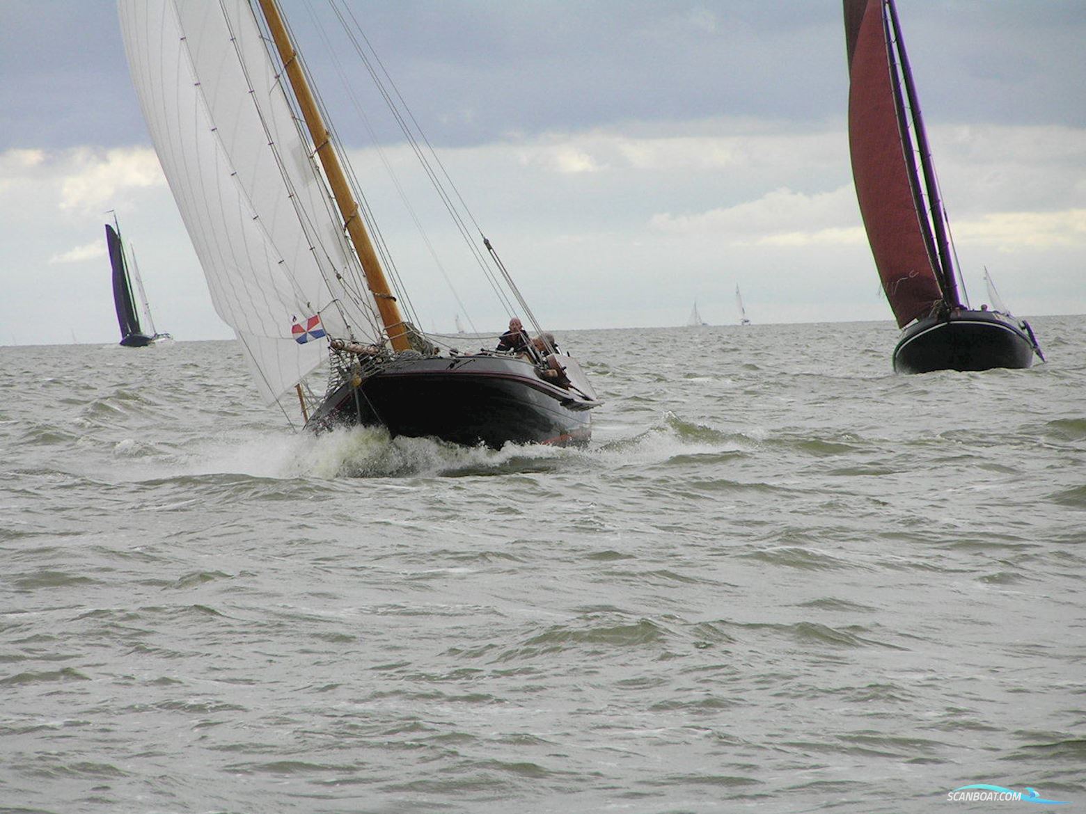 Lemsteraak Walrus - Roefuitvoering