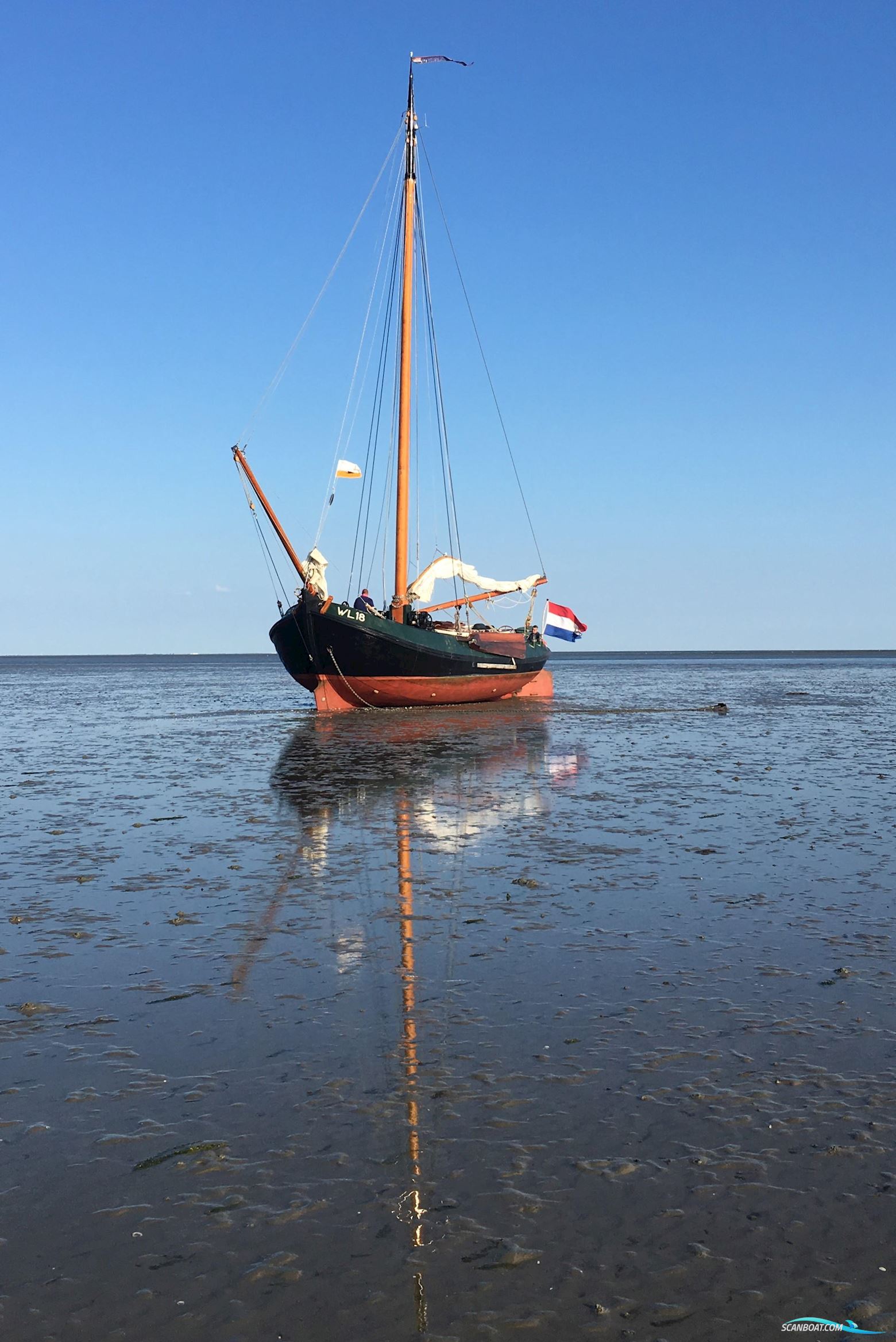 Lemsteraak WL 18 Fasant - Roefuitvoering Jachtuitvoering
