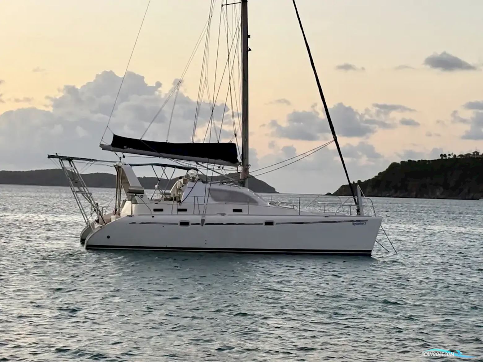 Leopard 38