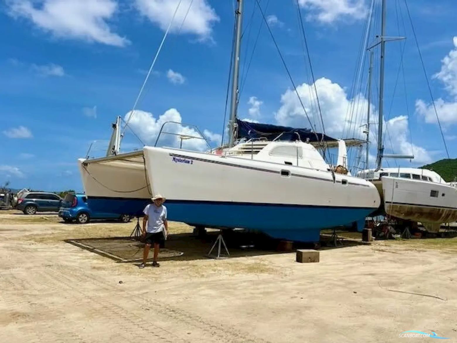 Leopard 38