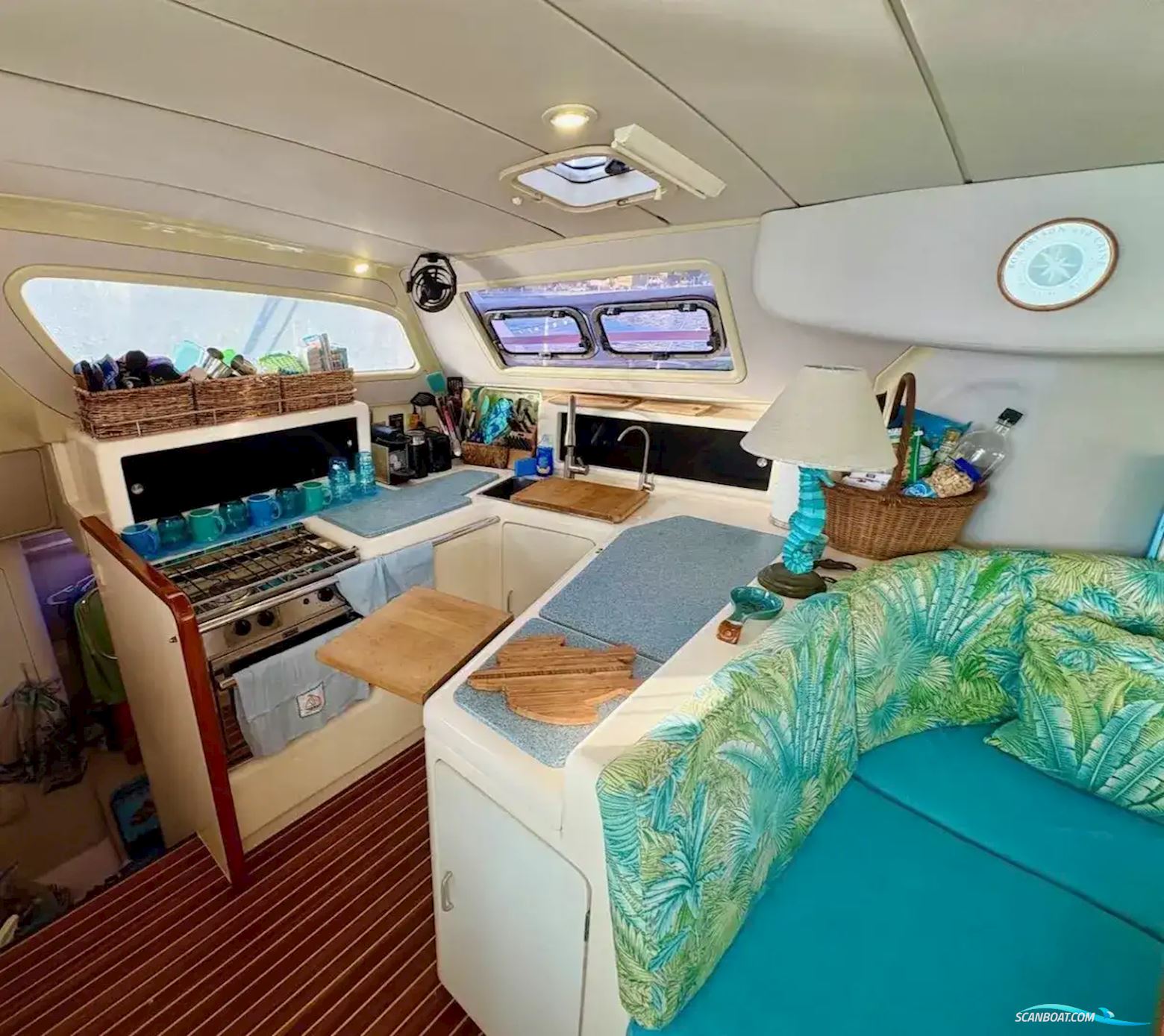 Leopard 38
