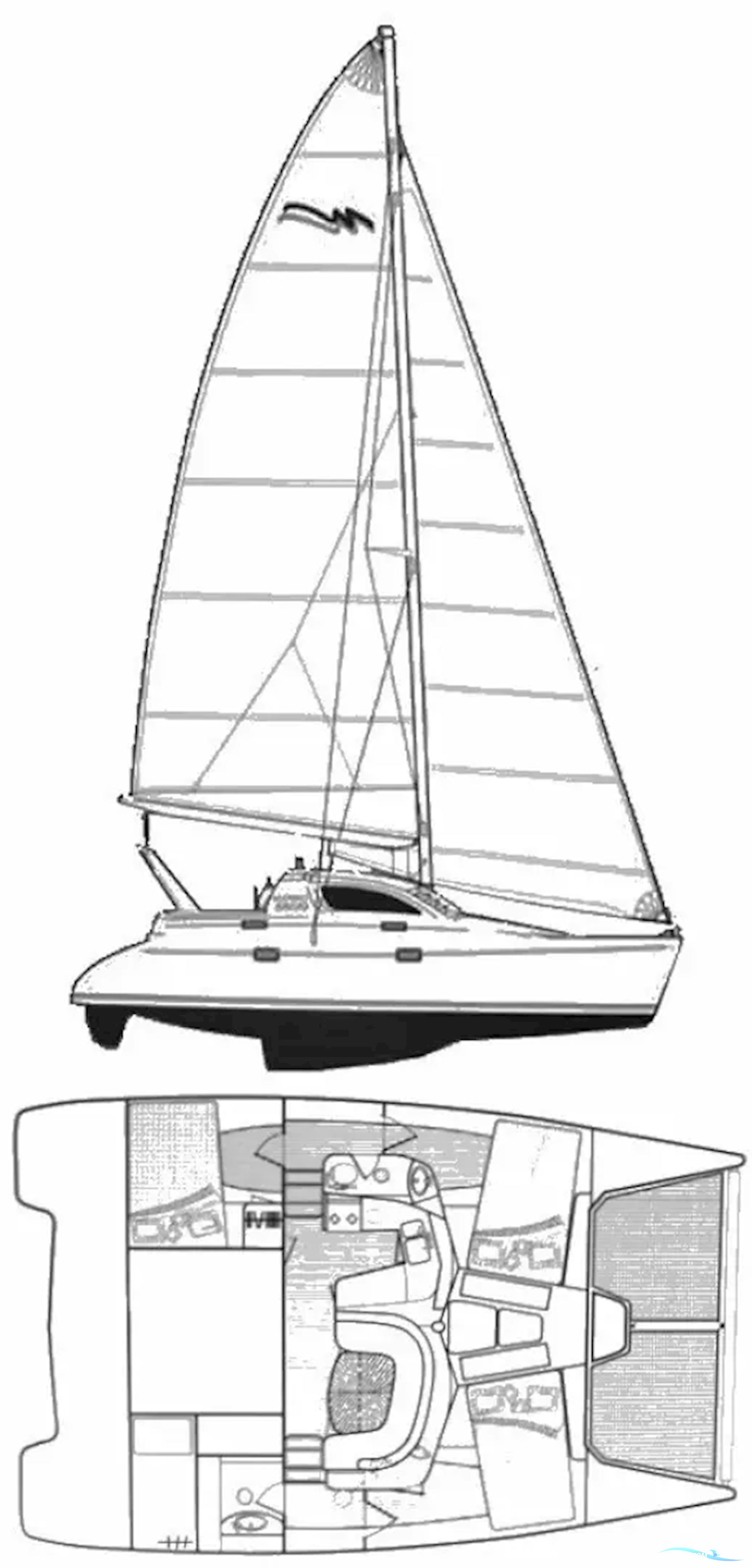 LEOPARD 38