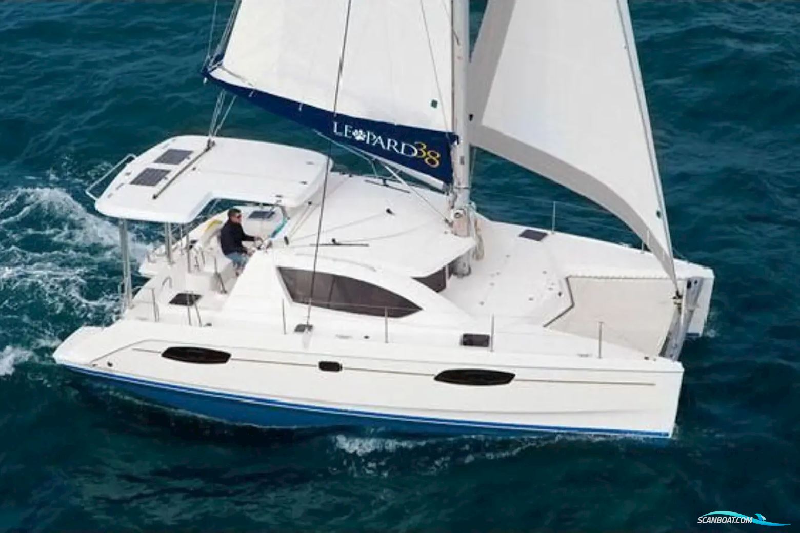 Leopard 38