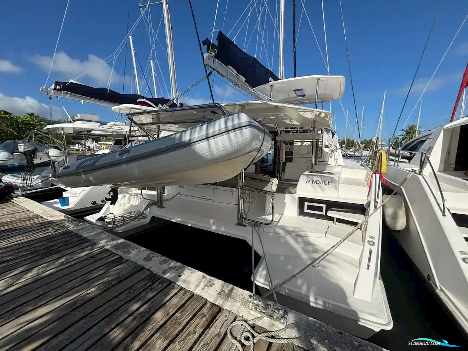 Leopard 40