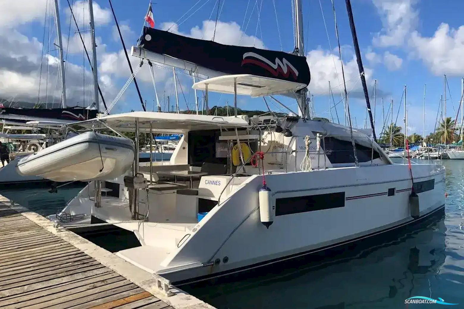 Leopard 40