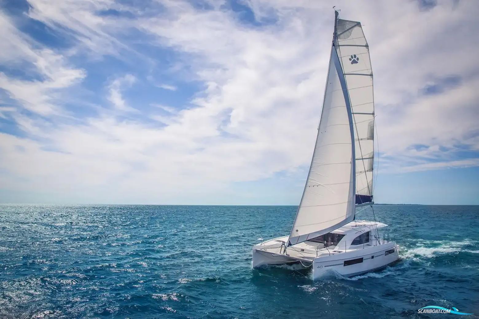 Leopard 40