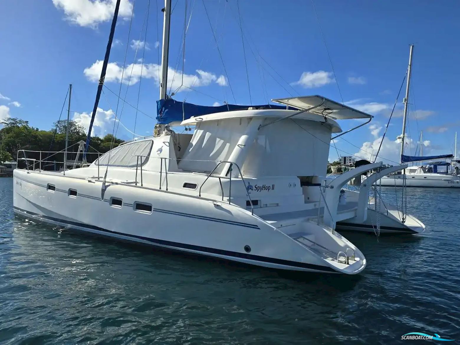 Leopard 43